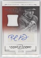 Paul Goldschmidt #/25