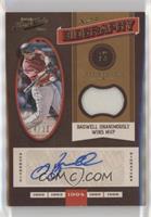 Jeff Bagwell #/25