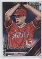 Tyler Skaggs #/65