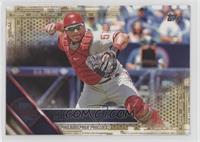 Carlos Ruiz #/2,016