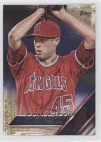 Tyler Skaggs #/2,016