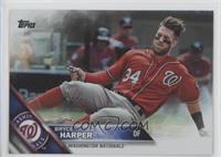 Bryce Harper