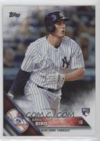 Greg Bird