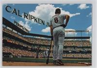 Cal Ripken Jr.