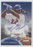 Dilson Herrera #/175