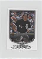 Avisail Garcia