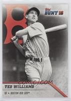 Ted Williams