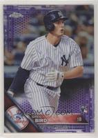 Greg Bird #/275