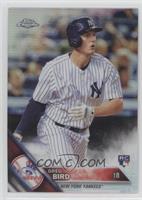 Greg Bird