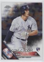 Greg Bird