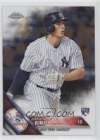 Greg Bird