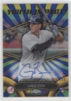 Greg Bird #/150