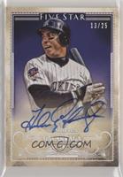 Andres Galarraga #/25