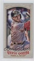 SP Image Variation - Dustin Pedroia (Swinging)