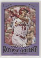 Kolten Wong #/250