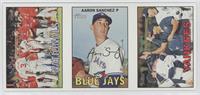 Washington Nationals Team, Aaron Sanchez, New York Yankees Team