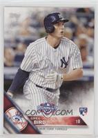 Greg Bird