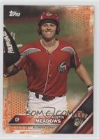 Austin Meadows #/25