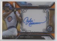 Andre Dawson #/125