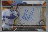 Anthony Rizzo [Noted] #/125