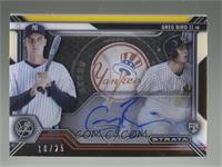 Greg Bird #/25