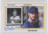 1978 Topps Then and Now Design - Ron Santo, Kris Bryant [EX to NM] #/…