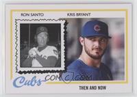 1978 Topps Then and Now Design - Ron Santo, Kris Bryant #/1,321