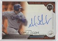 Adrian Gonzalez #/25