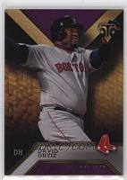 David Ortiz #/340