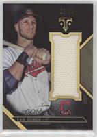 Yan Gomes #/36