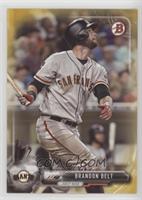 Brandon Belt #/50