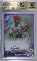 Jose Taveras [BGS 9.5 GEM MINT] #/250