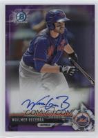 Wuilmer Becerra #/250