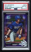 Gavin Lux [PSA 10 GEM MT] #/250