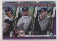 Gleyber Torres, Justus Sheffield, Clint Frazier #/250