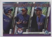 Leody Taveras, Andy Ibanez, Ronald Guzman #/250