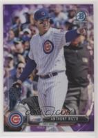 Anthony Rizzo #/250