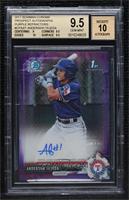 Anderson Tejeda [BGS 9.5 GEM MINT] #/250