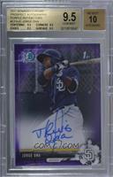 Jorge Ona [BGS 9.5 GEM MINT] #/250