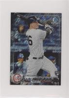 Tyler Austin #/100