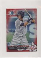 Wilkerman Garcia #/10