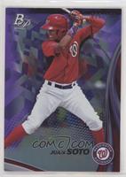 Juan Soto #/250