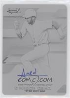 Amed Rosario #/1