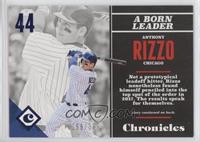 Anthony Rizzo #/399