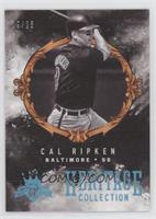 Cal Ripken #/25