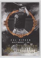 Cal Ripken