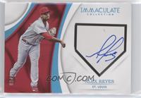 Alex Reyes #/25