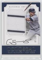 Gary Sanchez #/25