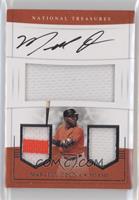 Marcell Ozuna #/25