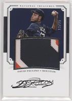 David Paulino #/25